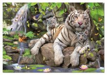 Puzzle 1000-dijelne - EDUCA 14808 PUZZLE 1000 dielov TWhite tigers of Bengal 68x48 cm+ FIX PUZZLE LEPIDLO _0