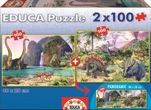 Puzzle pentru copii 100 - 300 de bucăți - Puzzle Dino Educa 2x100 buc de la 5 ani_0