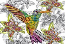 Otroške puzzle od 100 do 300 delov - Puzzle Pobarvanka Kolibri Doodle Art Educa 300 delov od 11 leta_0