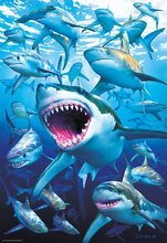 Puzzle 500 dílků - Puzzle Genuine Shark club Educa 500 dílků a Fix puzzle lepidlo od 11 let_0
