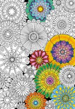 Gyerek puzzle 100-300 darabos - Puzzle Színező Big Beautifull Blossoms 23 Doodle Art Educa 300 darabos 11 évtől_0