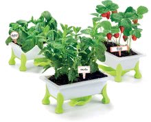  Igre vrtnarjenja - Mali vrtnar – začimbe Strawberry – Mint – Basil Educa Nature z vrtnarskimi potrebščinami od 5 leta_0
