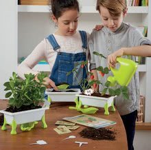 Jucării pentru micul grădinar - Micul grădinar - Ierburi -Strawberry-Mint-Basil Educa Nature - set cu accesorii pentru grădinărit de la 5 ani_1