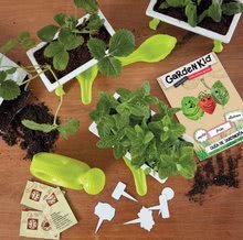 Hry na záhradníka - Malý záhradník - bylinky Strawberry-Mint-Basil Educa Nature so záhradníckymi potrebami od 5 rokov_2