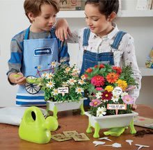 Jucării pentru micul grădinar - Micul grădinar - Flori Daisy - Zinnia - Cosmos of Japan Educa Nature - set cu accesorii pentru grădinărit de la 5 ani_1