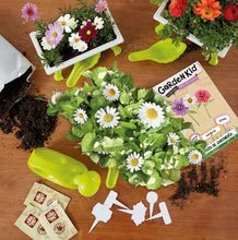 Kertészkedés - Kis kertész - virágok Daisy - Zinnia - Cosmos of Japan Educa Nature kertészeti tartozékokkal 5 évtől_2
