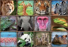 Puzzle 1000 dielne - Puzzle Wild animals collage Educa 1000 dielov a Fix lepidlo od 11 rokov_0