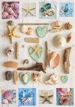 Puzzle 1000 dielne - Puzzle Seashells Collage Educa 1000 dielov a Fix lepidlo od 11 rokov_0