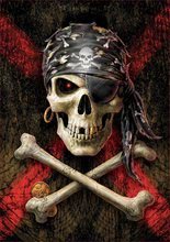 500 delne puzzle - Puzzle Pirate Skull Educa 500 delov in Fix lepilo od 11 leta_0