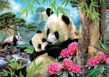 1000 darabos puzzle - Puzzle Morning panda Educa 1000 darabos és Fix ragasztó 11 évtől_0