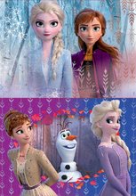 Detské puzzle do 100 dielov - Puzzle Frozen 2 Disney Educa 2x20 dielov od 4 rokov_0