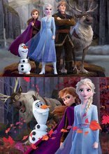 Detské puzzle od 100-300 dielov - Puzzle Frozen 2 Disney Educa 2x100 dielov od 6 rokov_0
