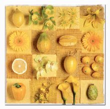 500 delne puzzle - Puzzle Exotic Fruits and Flowers Educa Andrea Tilk 3x500 in Fix lepilo od 11 leta_0