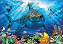 Puzzle cu 500 de bucăți  - Puzzle Great White Shark Educa 500 piese și lipici Fix de la 11 ani_0