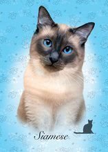 Puzzle per bambii da 100 a 300 pezzi - Puzzle Mini Box Siamese Educa 100 pezzi dai 6 anni_0