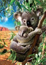 Puzzle 500-teilig - Puzzle Koala and Cub Educa 500 Teile und Fixkleber in Packung ab 11 Jahren_0