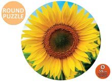 1000 darabos puzzle - Puzzle Sunflower Round Educa 800 darabos és Fix ragasztó 11 évtől_1