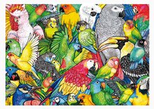 Puzzle 500 dielne - Puzzle Parrots Educa 500 dielov a Fix lepidlo_0