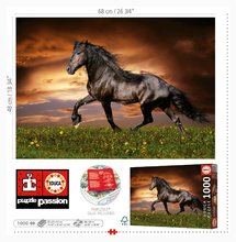 Puzzle 1000 teilig - Puzzle Trotting Horse Educa 1000 Teile und Fix- Kleber EDU19555_2
