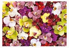 Puzzle 1000 dielne - Puzzle Orchid Collage Educa 1000 dielov a Fix lepidlo_0