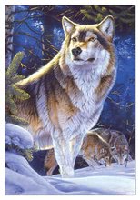 Puzzle 500-dijelne - EDUCA 15151 Puzzle Genuine Wolf on Guard, 500 ks, 48*34 cm + Fix Puzzle lepidlo _0