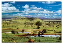 Puzzle 500-dijelne - EDUCA 15152 Puzzle Genuine Tsavo National Park Kenya 500 ks, 48*34 cm + Fix Puzzle lepidlo _0