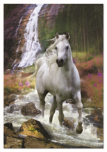 Puzzle 500-dijelne - EDUCA 15509 Puzzle Genuine Freedom 500 ks, 48*34 cm + Fix Puzzle lepidlo _0