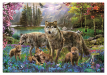 Puzzle 500-dijelne - EDUCA 15511 Puzzle Genuine Wolf family 500 ks, 48*34 cm + Fix Puzzle lepidlo _0