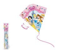 Športové hry pre najmenších - Šarkan Disney Mondo Minnie, Frozen, Princess, Toy Story, Cars, Mickey_12