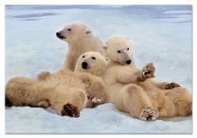 Puzzle Rodinka ledních medvědů Educa 500 dílků od 11 let