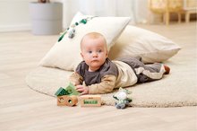 Jucării pentru dezvoltarea abilitătii copiiilor - Cuburi didactice din lemn cu sunet Baby HIPP Sound Blocks Eichhorn cu măgar de pluș 8 piese de la 12 luni_6