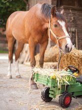 Vehicule cu pedală pentru copii - Tractor cu pedale Fendt Big cu antrenare cu lanț, cu platformă și claxon_3