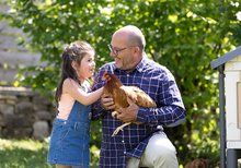 Cartello Divertente In Latta - Scritta 'Cluck Around And Find Out