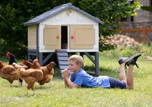 Hühnerstall - Hühnerstall für 5 Hühner Cluck Cluck Cottage Beige Smoby 4 Türen mit Treppe und einem Futtertrog und einem Nest mit einem künstlichen Ei SM890100_33
