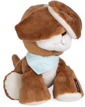 Animaux en peluche - Chien en peluche Les Amis Tiramisu Dog Kaloo Brown 18 cm en peluche douce dans une boîte-cadeau de 0 mois_1