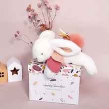 Iepurași de pluș - Iepuraș de pluș Bunny Happy Boho Doudou et Compagnie roz 25 cm în abalaj cadou de la 0 luni_0