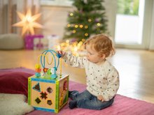 Jouets didactiques en bois - Cube éducatif en bois avec labyrinthe et d'autres activités Color Little Game Center Eichhorn, 5 formes d'insertion, à partir de 12 mois_2