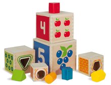 Drevené didaktické hračky - Drevená skladacia veža Color Stacking Tower Eichhorn 5 farebných kociek a 5 tvarov od 12 mes_0