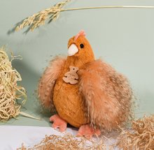 Pluszowe zwierzątka - Pluszowy kurczak Les Poulettes Histoire d'OURs pomarańczowy 20 cm od 0 miesięcy_2