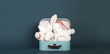 Hračky pro miminka - Plyšový zajíc Imagine Chubby Kaloo světélkující s chrastítkem v dárkovém balení 30 cm bílý od 0 měsíců_5