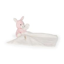 Alvókendők DouDou - Csacsi dédelgetéshez Les Amis Regliss Kaloo Doudou kendővel ajándékdobozban 28 cm rózsaszín_2