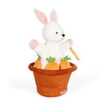 Bábky pre najmenších - Plyšový zajačik bábkové divadlo Robin Rabbit Kachoo Kaloo prekvapenie v kvetináči 25 cm pre najmenších od 0 mes_2