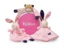 Alvókendők DouDou - Plüss maci alvóka és kesztyűbáb rágókával Petite Rose-Doudou Pretty Bear Kaloo 20 cm ajándékcsomagolásban legkisebbeknek_1