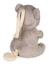 Teddybären - Plüschbär mit Melodie My Musical Bear Home Kaloo braun 16 cm feiner Plüsch und mit Musik 'Brahms Lullaby'  ab 0 Monaten_0