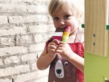 Dřevěné kuchyňky - Dřevěné nanuky Ice Lolly Shop Tender Leaf Toys 6 druhů na stojanu_7