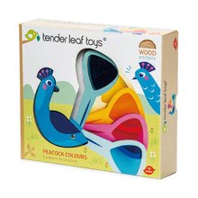 Drevené náučné hry - Drevený vtáčik Peacock Colours Tender Leaf Toys s farebným perím v chvoste od 18 mes_1