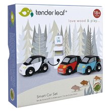 Drevené autá - Drevené elektromobily Smart Car Set Tender Leaf Toys s nabíjacou stanicou a 3 autíčkami od 18 mes_0