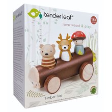 Leseni avtomobili - Leseni gozdni taksi Timber Taxi Tender Leaf Toys iz pravljice Merrywood Tales s 3 figuricami od 18 mes_0