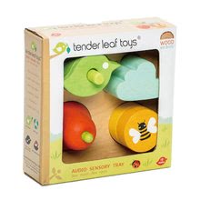 Dřevěné didaktické hračky - Dřevěné tvary se zvukem Audio Sensory Tray Tender Leaf Toys 4 druhy na podložce od 18 měsíců_1