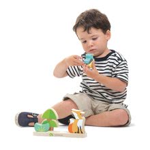 Drewniane zabawki edukacyjne - Drewniana magnetyczna układanka z lisem Foxy Magnetic Stacker Tender Leaf Toys 8 ks kociek w kształcie od 18 miesięcy_1